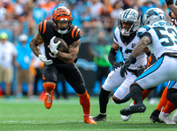 NFL Football 2024:  Cincinnati Bengals vs Carolina Panthers Sep 28