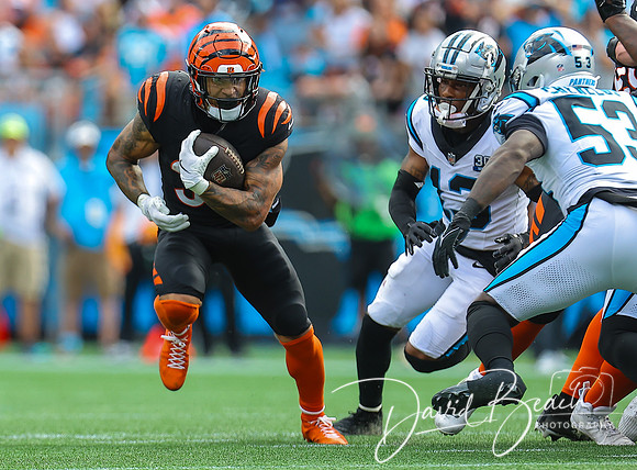 NFL Football 2024:  Cincinnati Bengals vs Carolina Panthers Sep 28
