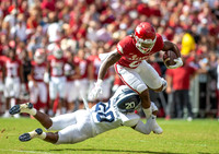 Georgia Southern University  vs Arkansas Razorback football.