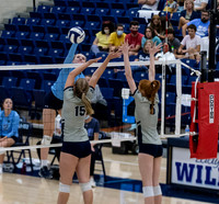 Springdale Har-Ber plays Greenwood in high school volleyball