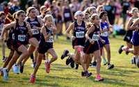 Elkins Invitational
