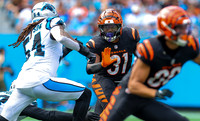 NFL Football 2024:  Cincinnati Bengals vs Carolina Panthers Sep 28