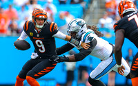 NFL Football 2024:  Cincinnati Bengals vs Carolina Panthers Sep 28